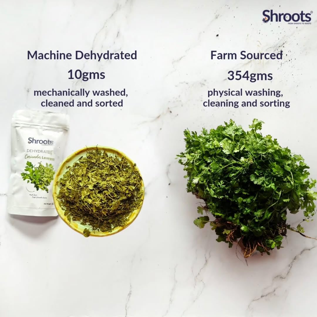 SHROOTS Dehydrated Coriander Leaves Pure Vegetarian Gluten-Free No Added Salt Flavorful Kitchen Essential Machine Dried Vegetables with Natural Aroma Ideal for Everyday Cooking - 0.35 oz, Pack of 1