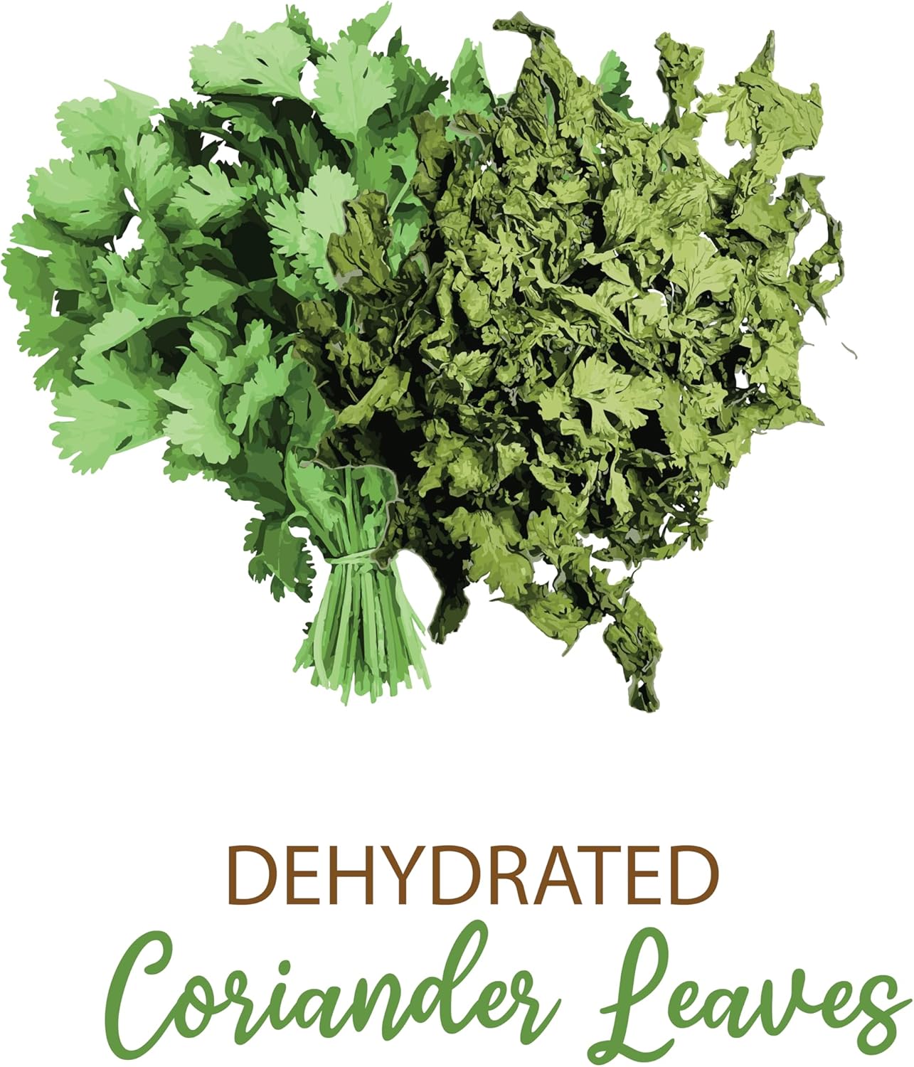 SHROOTS Dehydrated Coriander Leaves Pure Vegetarian Gluten-Free No Added Salt Flavorful Kitchen Essential Machine Dried Vegetables with Natural Aroma Ideal for Everyday Cooking - 0.35 oz, Pack of 1